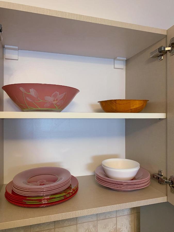 Appartamento Casa Carol Braşov Esterno foto